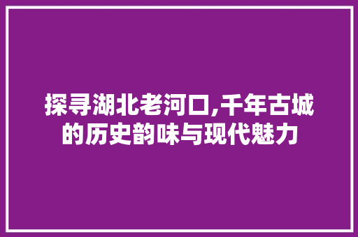 探寻湖北老河口,千年古城的历史韵味与现代魅力