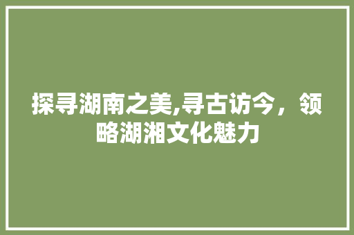 探寻湖南之美,寻古访今，领略湖湘文化魅力