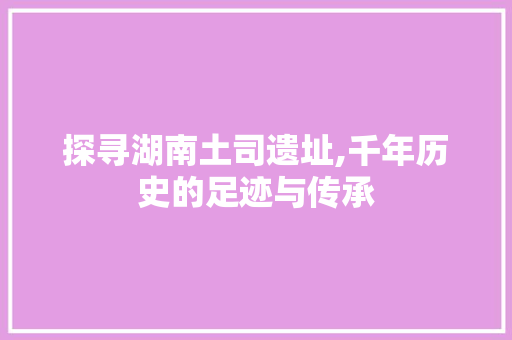 探寻湖南土司遗址,千年历史的足迹与传承