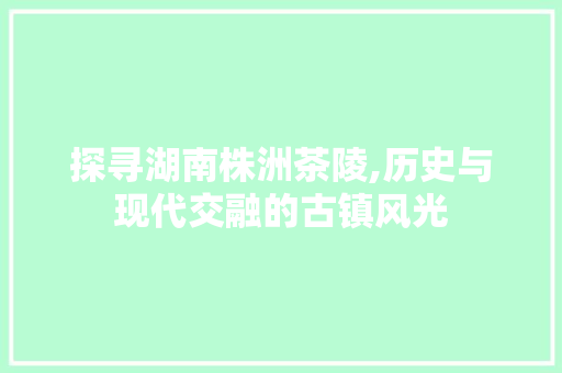 探寻湖南株洲茶陵,历史与现代交融的古镇风光