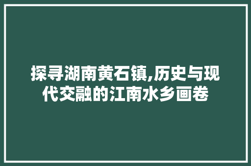 探寻湖南黄石镇,历史与现代交融的江南水乡画卷