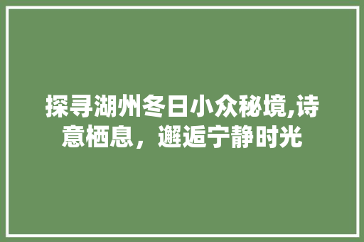 探寻湖州冬日小众秘境,诗意栖息，邂逅宁静时光