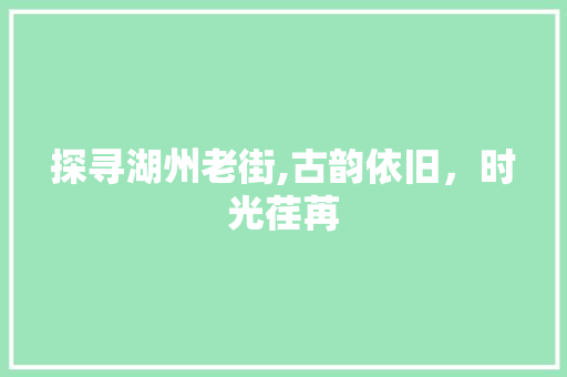 探寻湖州老街,古韵依旧，时光荏苒