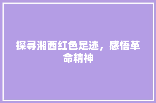 探寻湘西红色足迹，感悟革命精神