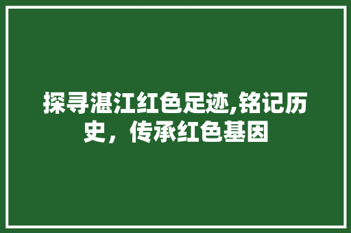 探寻湛江红色足迹,铭记历史，传承红色基因