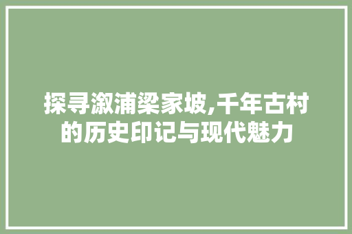 探寻溆浦梁家坡,千年古村的历史印记与现代魅力