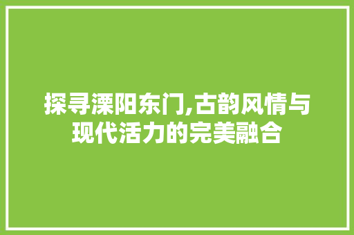 探寻溧阳东门,古韵风情与现代活力的完美融合