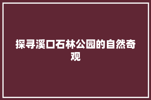 探寻溪口石林公园的自然奇观