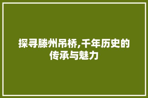 探寻滕州吊桥,千年历史的传承与魅力