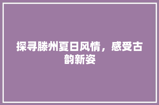 探寻滕州夏日风情，感受古韵新姿