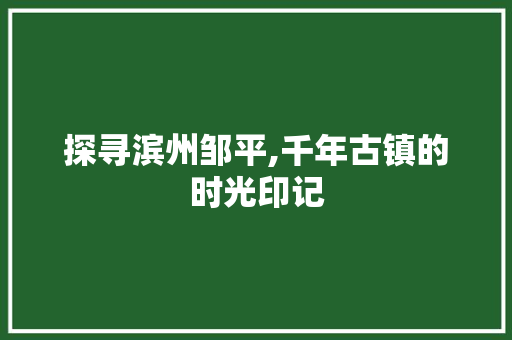 探寻滨州邹平,千年古镇的时光印记