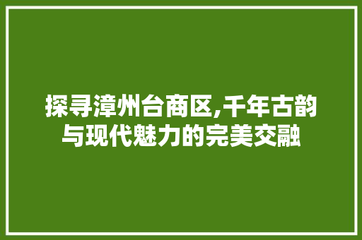 探寻漳州台商区,千年古韵与现代魅力的完美交融