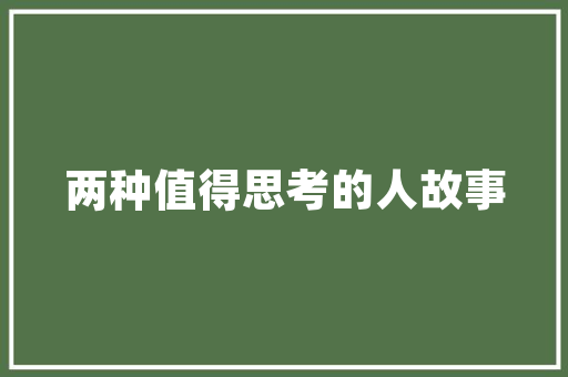 全脑开发之旅,探索大脑潜能的奇妙之旅