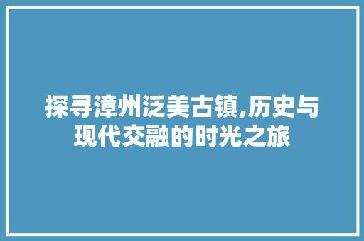 探寻漳州泛美古镇,历史与现代交融的时光之旅