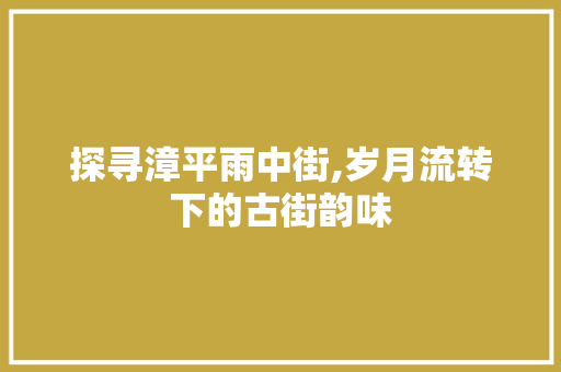 探寻漳平雨中街,岁月流转下的古街韵味