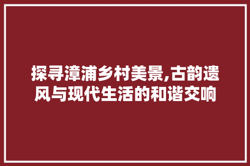 探寻漳浦乡村美景,古韵遗风与现代生活的和谐交响