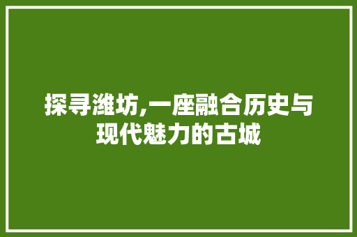 探寻潍坊,一座融合历史与现代魅力的古城