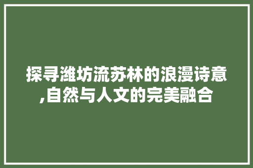 探寻潍坊流苏林的浪漫诗意,自然与人文的完美融合