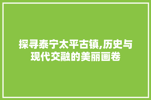 探寻泰宁太平古镇,历史与现代交融的美丽画卷