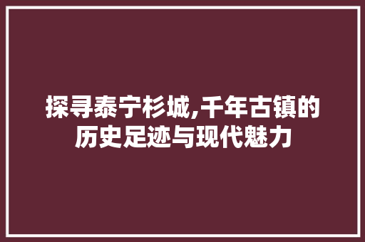 探寻泰宁杉城,千年古镇的历史足迹与现代魅力