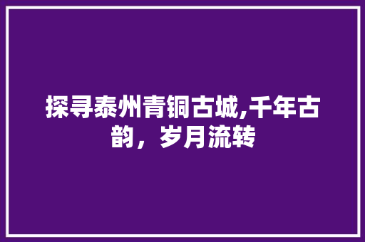 探寻泰州青铜古城,千年古韵，岁月流转  第1张