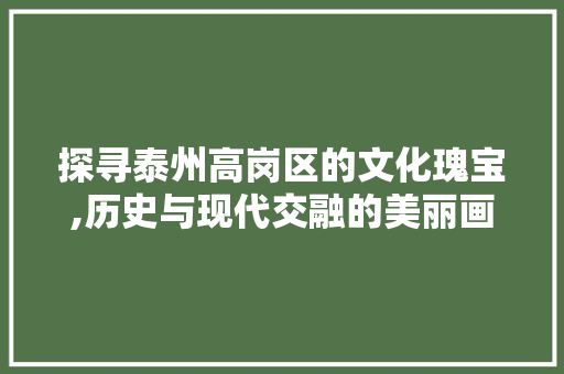 探寻泰州高岗区的文化瑰宝,历史与现代交融的美丽画卷