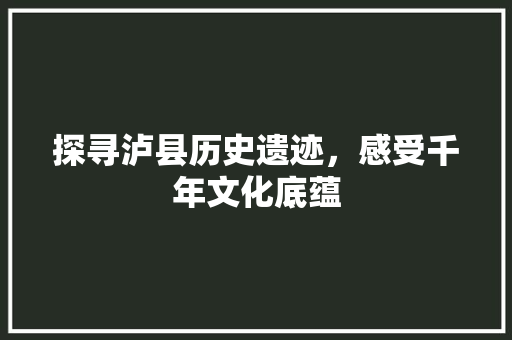 探寻泸县历史遗迹，感受千年文化底蕴