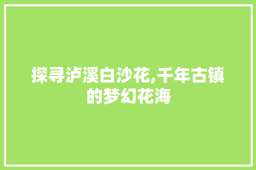 探寻泸溪白沙花,千年古镇的梦幻花海