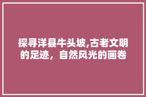 探寻洋县牛头坡,古老文明的足迹，自然风光的画卷