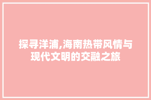 探寻洋浦,海南热带风情与现代文明的交融之旅