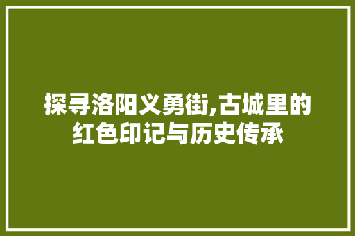 探寻洛阳义勇街,古城里的红色印记与历史传承