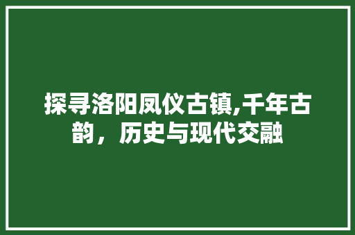 探寻洛阳凤仪古镇,千年古韵，历史与现代交融