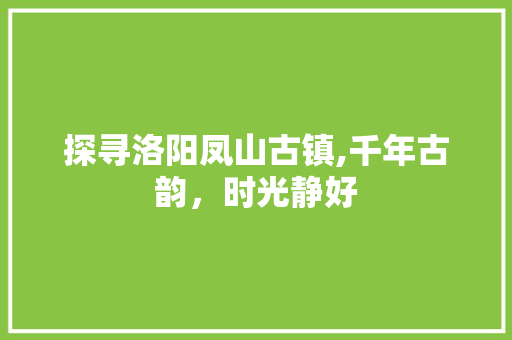 探寻洛阳凤山古镇,千年古韵，时光静好