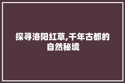 探寻洛阳红草,千年古都的自然秘境