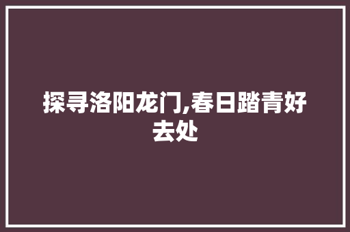 探寻洛阳龙门,春日踏青好去处