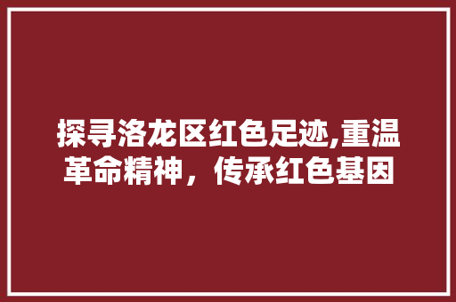 探寻洛龙区红色足迹,重温革命精神，传承红色基因