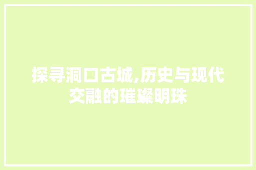 探寻洞口古城,历史与现代交融的璀璨明珠