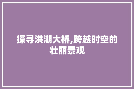 探寻洪湖大桥,跨越时空的壮丽景观