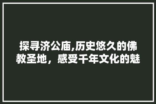 探寻济公庙,历史悠久的佛教圣地，感受千年文化的魅力