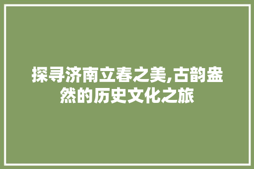 探寻济南立春之美,古韵盎然的历史文化之旅