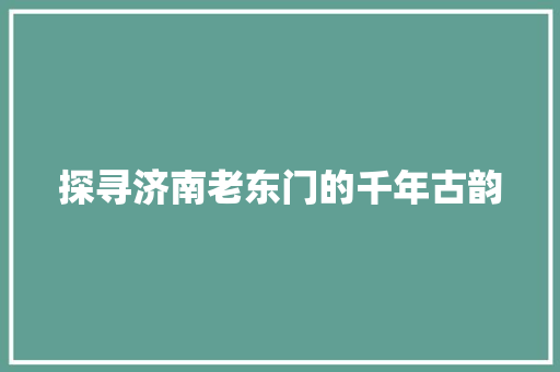 探寻济南老东门的千年古韵