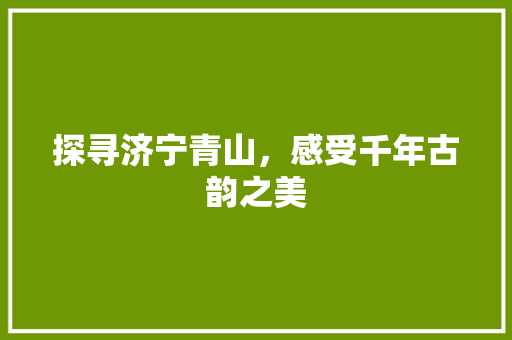 探寻济宁青山，感受千年古韵之美