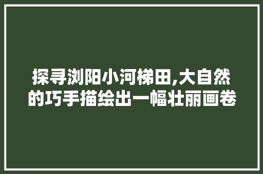 探寻浏阳小河梯田,大自然的巧手描绘出一幅壮丽画卷