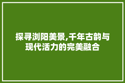 探寻浏阳美景,千年古韵与现代活力的完美融合