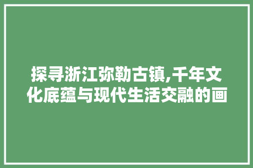 探寻浙江弥勒古镇,千年文化底蕴与现代生活交融的画卷