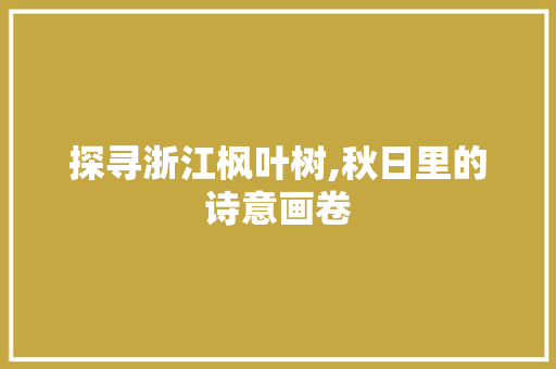 探寻浙江枫叶树,秋日里的诗意画卷