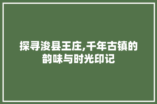 探寻浚县王庄,千年古镇的韵味与时光印记