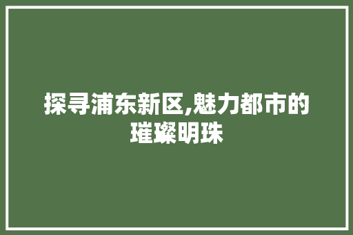 探寻浦东新区,魅力都市的璀璨明珠