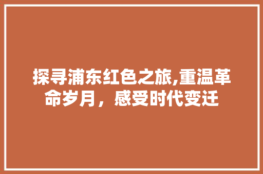 探寻浦东红色之旅,重温革命岁月，感受时代变迁