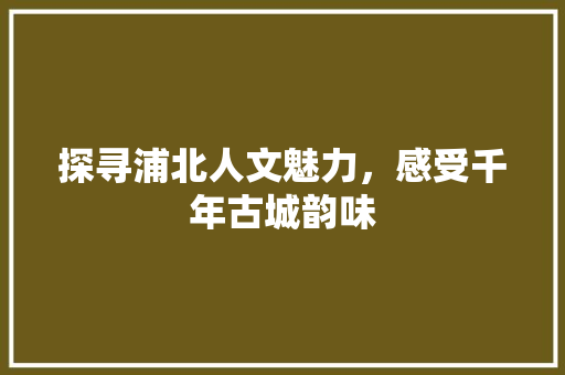 探寻浦北人文魅力，感受千年古城韵味